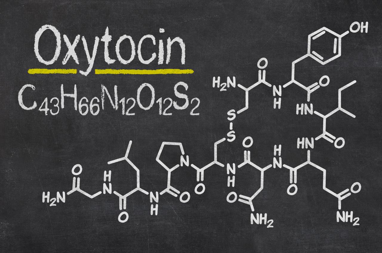 Foxytocinn